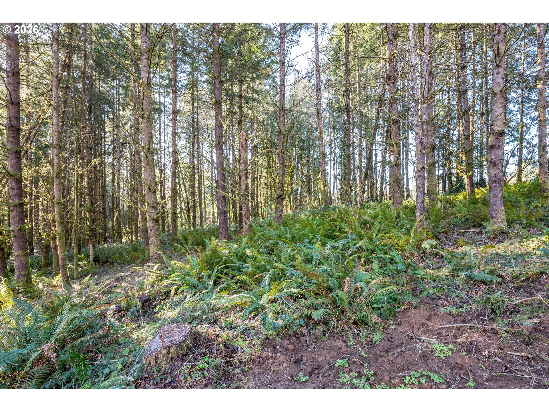 0 Bunker Hill Road, Unit A Longview, WA 98632 - Photo 6 of 18