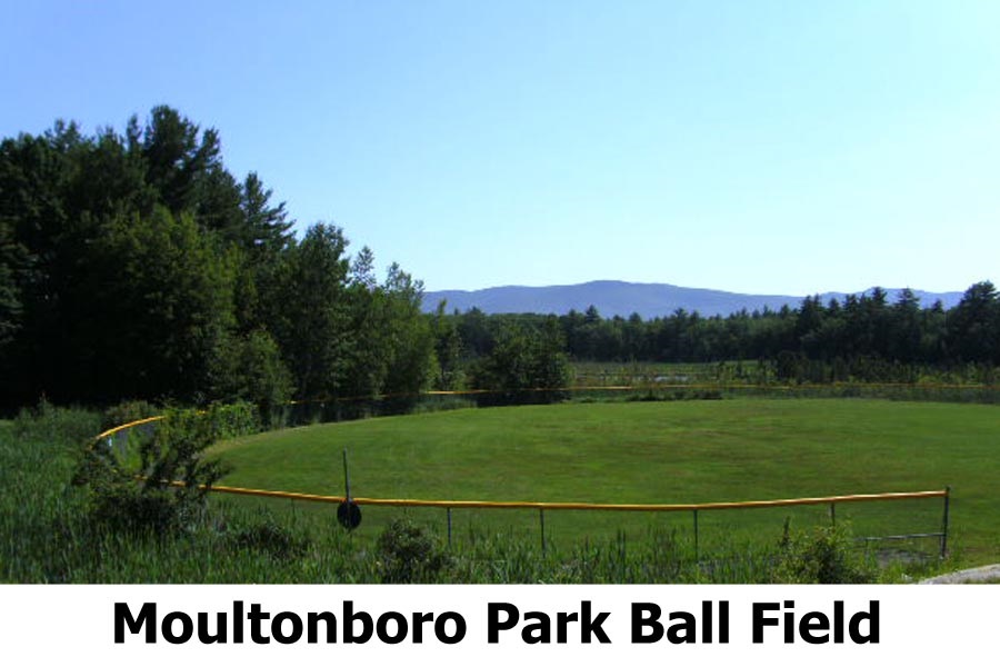 16.2 Gilman Point Road Moultonborough, NH 03254 - Photo 2 of 9 Gallery Image 2