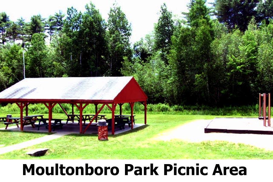 16.2 Gilman Point Road Moultonborough, NH 03254 - Photo 6 of 9 Gallery Image 6