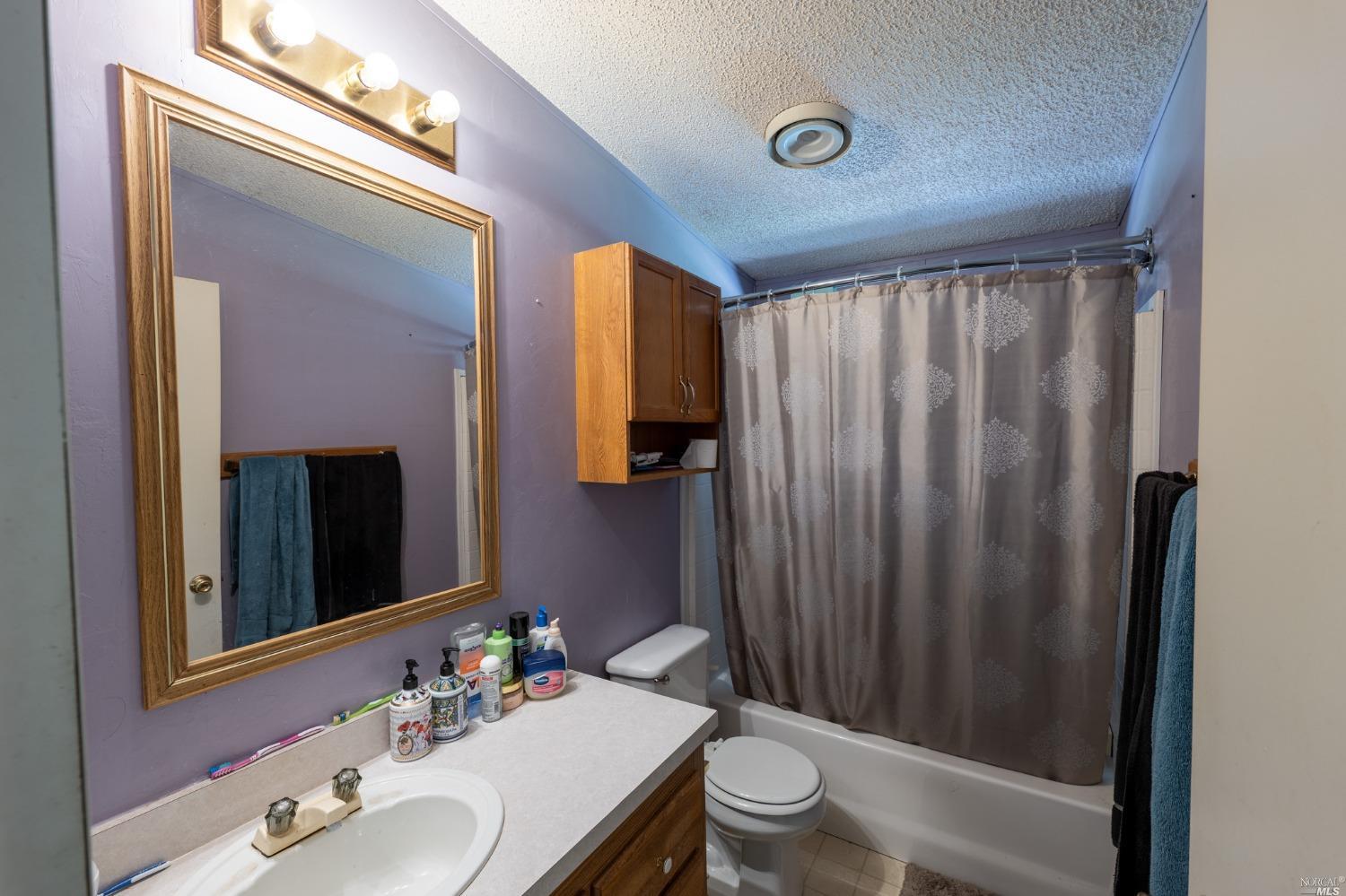 6750 State Highway 20 Ukiah, CA 95482 - Photo 26 of 37 a bathroom with a sink a toilet and shower curtain