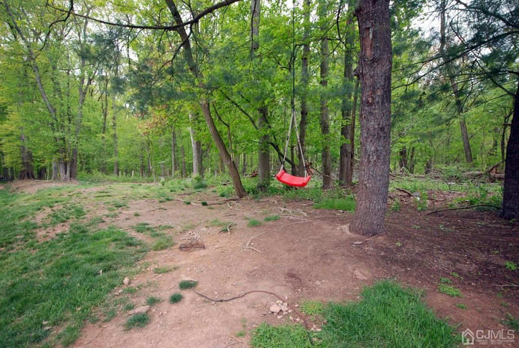 2 Tulip Court Edison, NJ 08820 - Photo 33 of 34 a view of a forest with trees