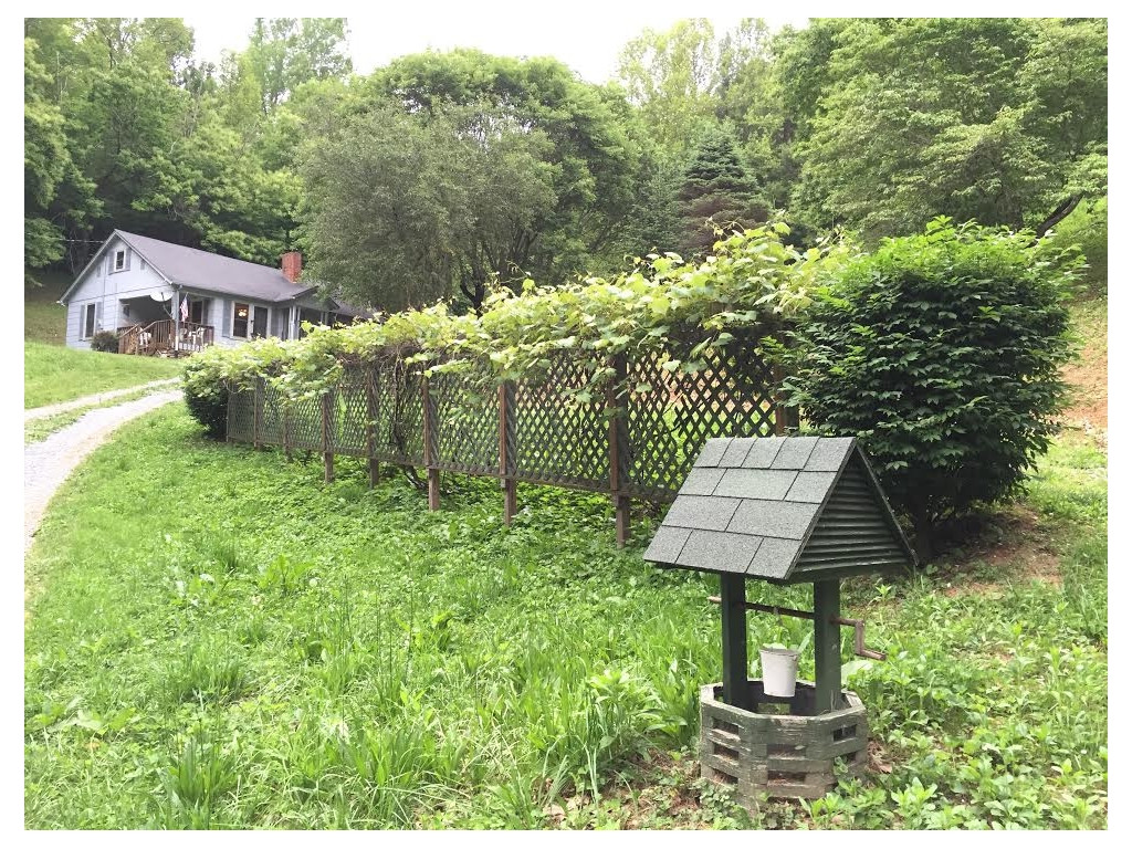 231 Little Branch Road Flag Pond, TN 37657 - Photo 14 of 14 Photo 15