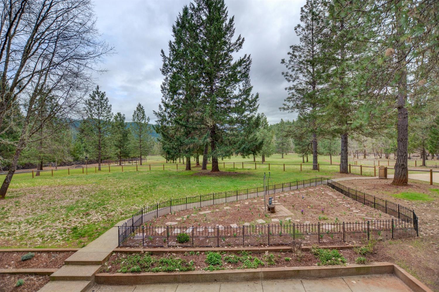 650 Onion Mountain Road Wilderville, OR 97543 - Photo 22 of 34 a view of a park with large trees