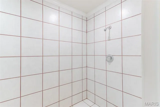 $289,900 | 1001 Old Highway 67, Neelyville, MO 63954