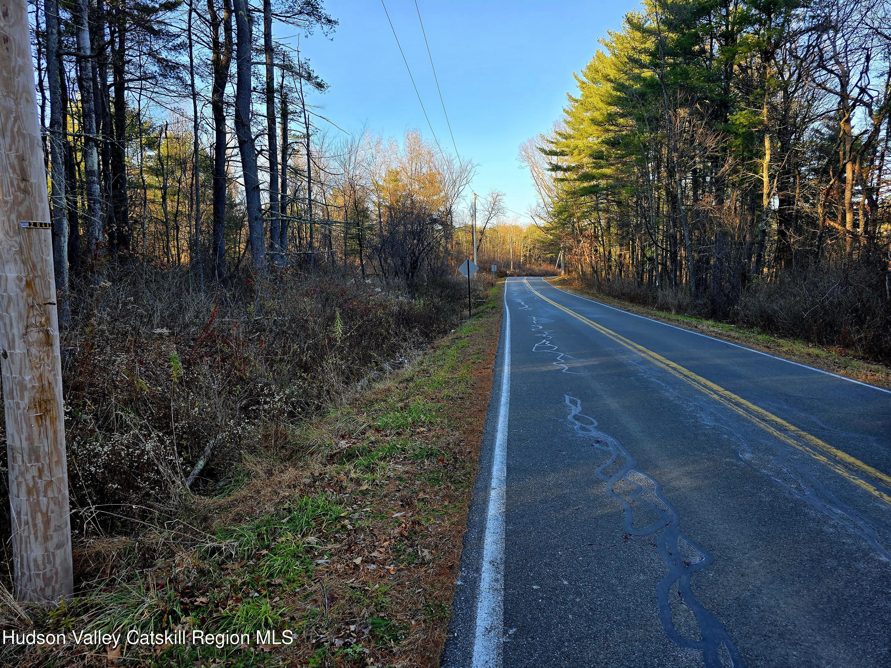 Lot 10 Co Road Hannacroix, NY 12087 - Photo 11 of 12 20251119_151004