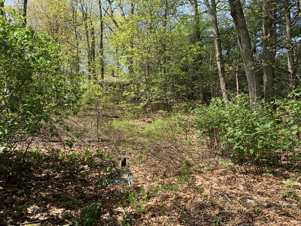 4 Barrows Road Worcester, MA 01609 - Photo 3 of 4