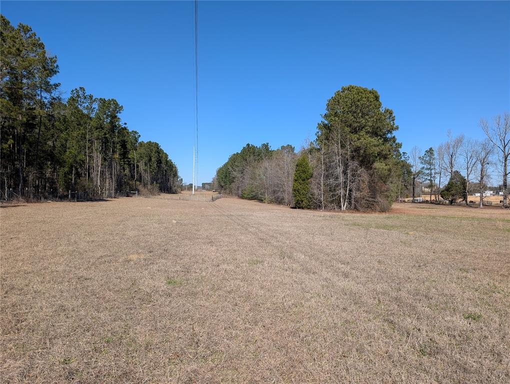 4052 Highway 431 Eufaula, AL 36027 - Photo 14 of 18 a view of large trees with a big yard