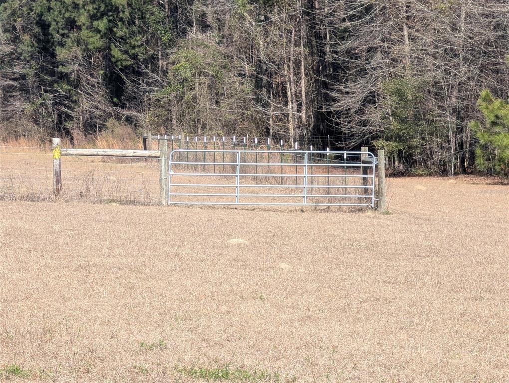 4052 Highway 431 Eufaula, AL 36027 - Photo 4 of 18 a view of backyard with large trees