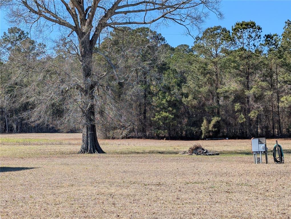 4052 Highway 431 Eufaula, AL 36027 - Photo 9 of 18 a view of a yard with a tree