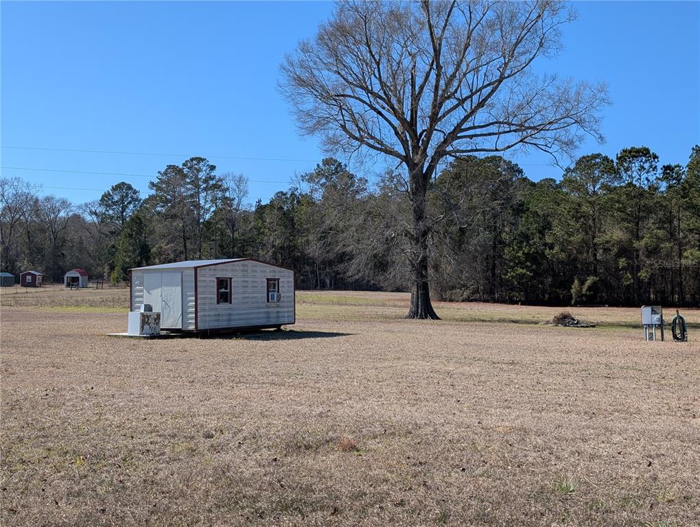 4052 Highway 431 Eufaula, AL 36027 - Photo 10 of 18 a big white house with a yard and large trees