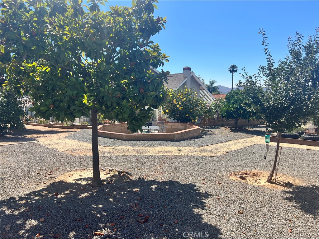 11010 Kayjay Street Riverside, CA 92503 - Photo 50 of 52 Fruit Trees