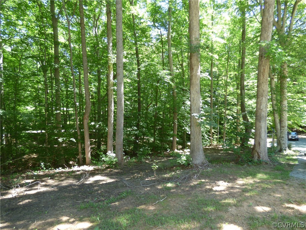 1988 Cook Road Powhatan, VA 23139 - Photo 19 of 24 Gallery Image 19