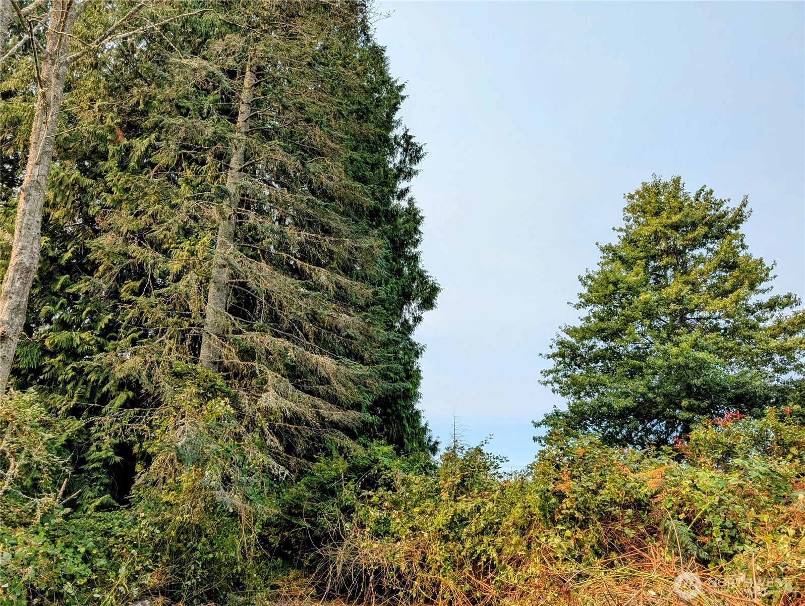 8 Heather Way Point Roberts, WA 98281 - Photo 9 of 15 Gallery Image 9