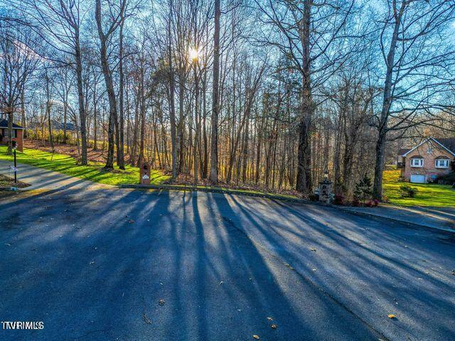 Tbd Allison Court Piney Flats, TN 37686 - Photo 3 of 5 Ac6