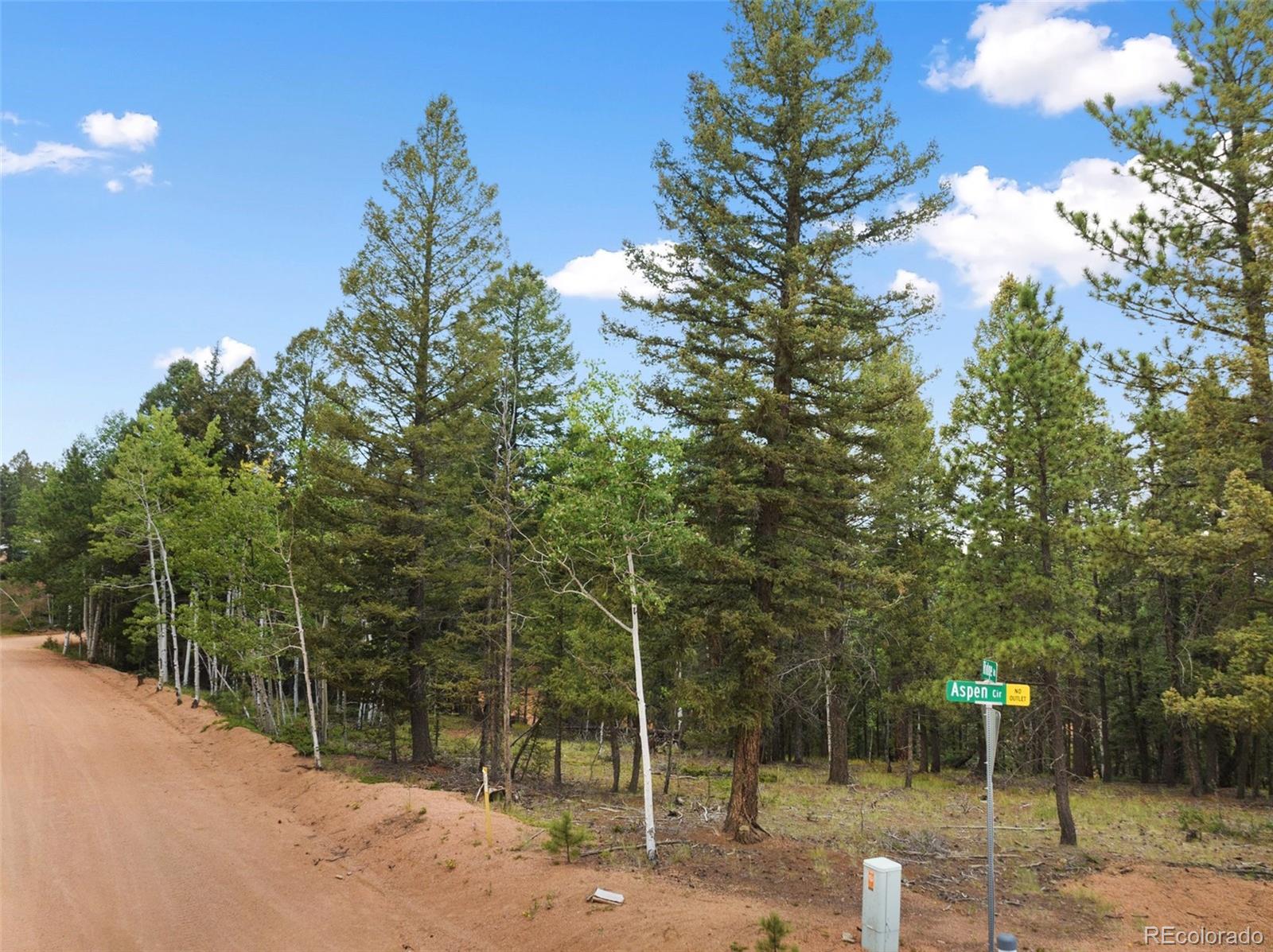 810 Ridge Road Divide, CO 80814 - Photo 4 of 27