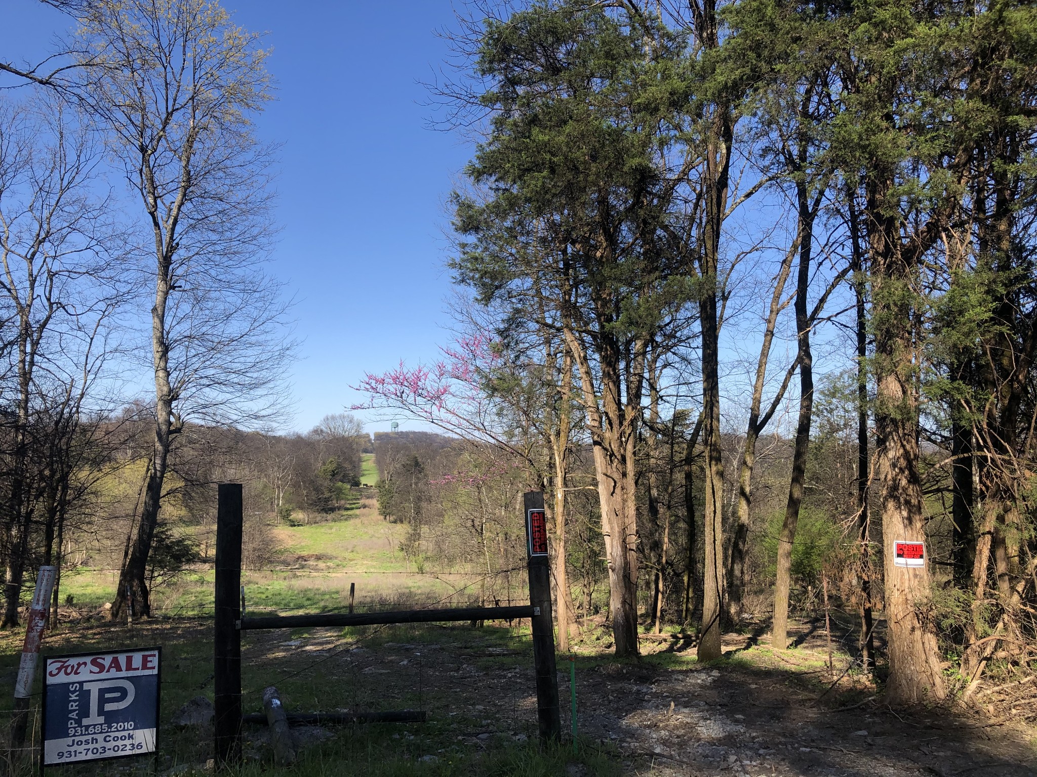 290 Wabash Road Mulberry, TN 37359 - Photo 3 of 8 a view of a yard with tree s