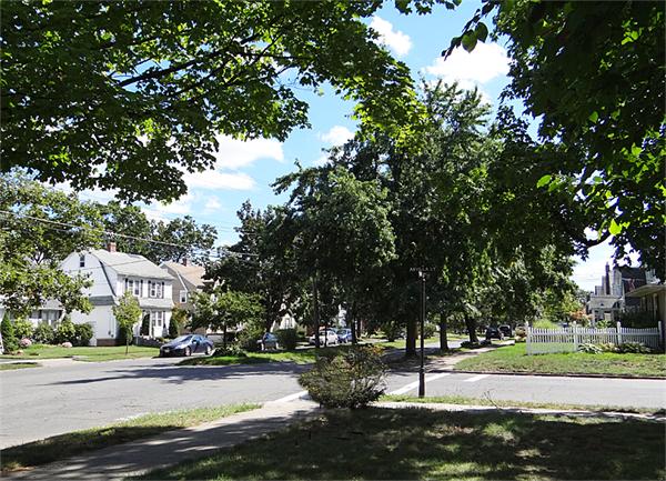 146 Arvilla Street Springfield, MA 01118 - Photo 2 of 22