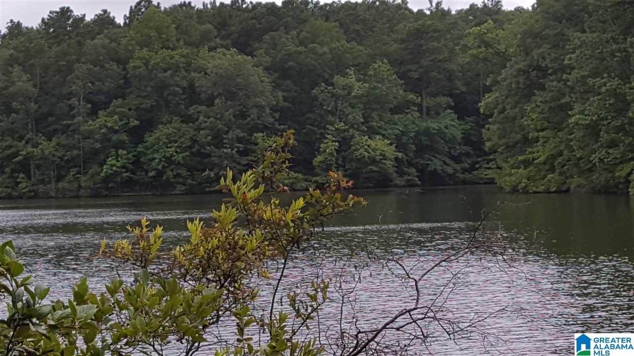 11-acres Deer Run Road, Unit 148330000001 010 Alabaster, AL 35007 - Photo 17 of 34