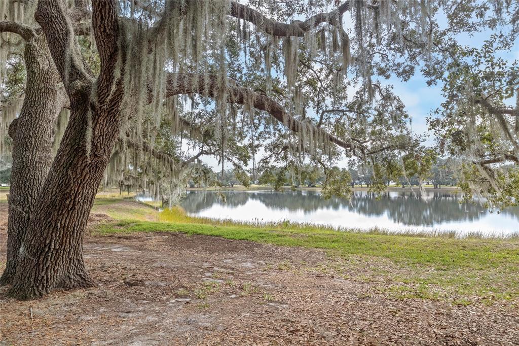 6419 Borg Street Leesburg, FL 34748 - Photo 72 of 87