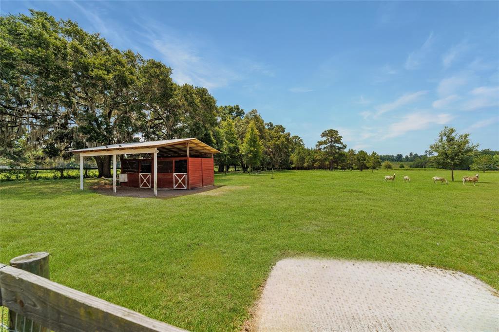 16520 Northwest 170th Street Williston, FL 32696 - Photo 80 of 98