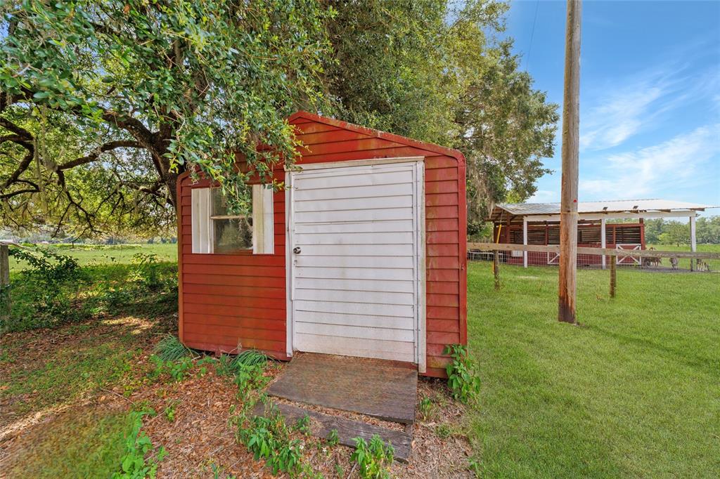 16520 Northwest 170th Street Williston, FL 32696 - Photo 88 of 98 a backyard of a house with plants and large tree