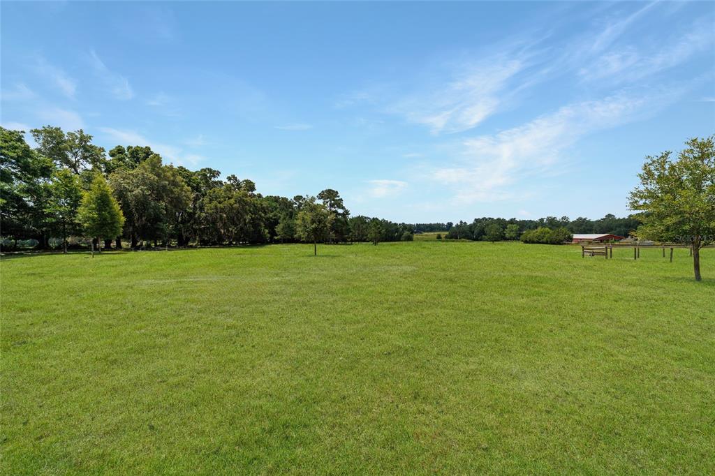 16520 Northwest 170th Street Williston, FL 32696 - Photo 90 of 98