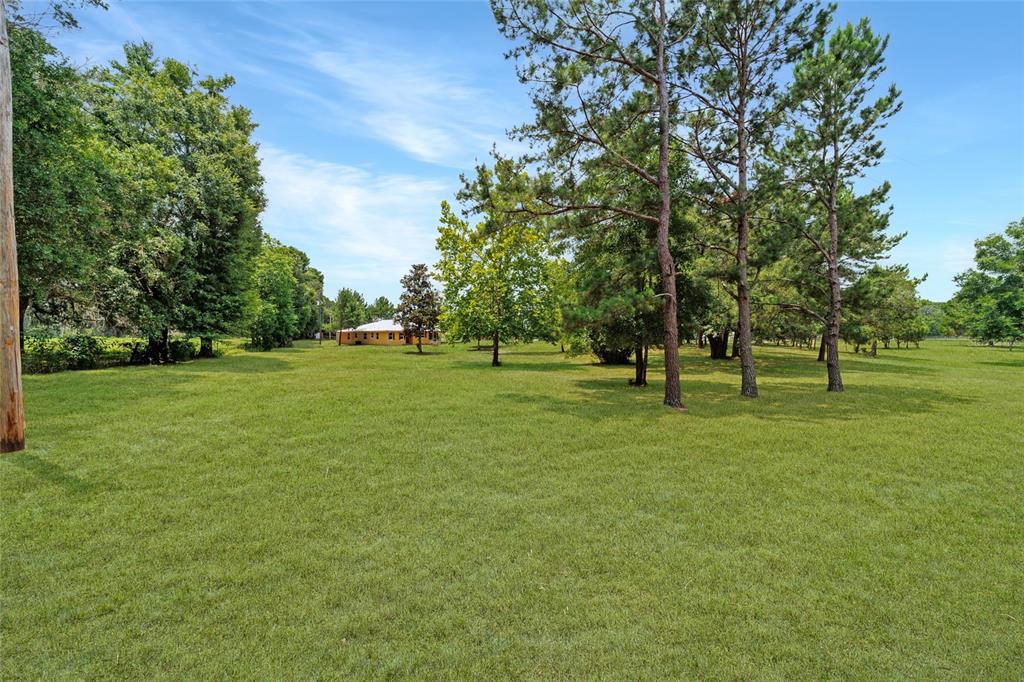 16520 Northwest 170th Street Williston, FL 32696 - Photo 91 of 98