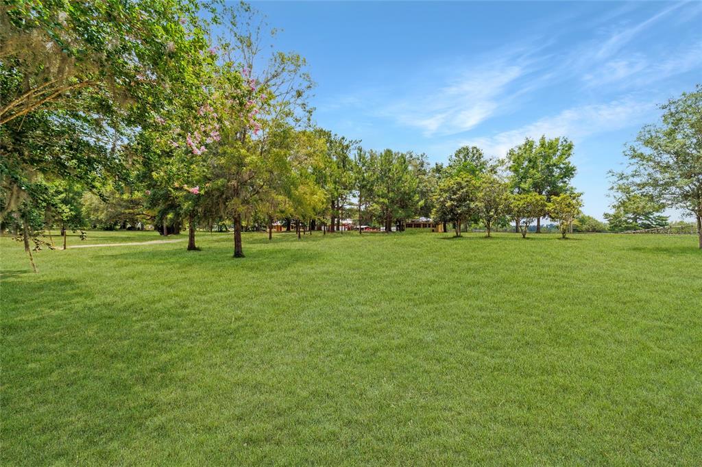 16520 Northwest 170th Street Williston, FL 32696 - Photo 92 of 98