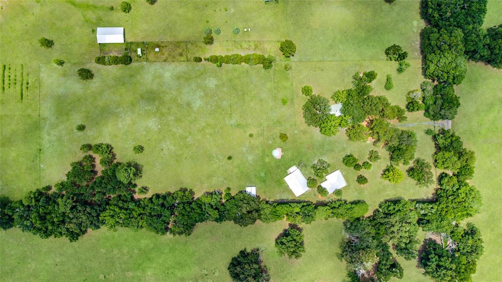 16520 Northwest 170th Street Williston, FL 32696 - Photo 97 of 98