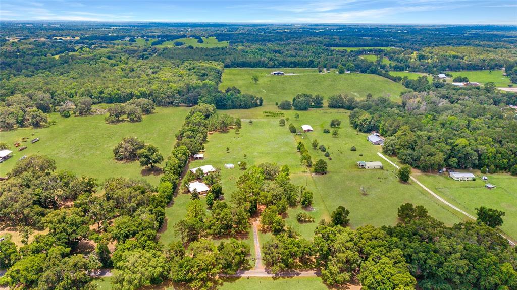 16520 Northwest 170th Street Williston, FL 32696 - Photo 98 of 98