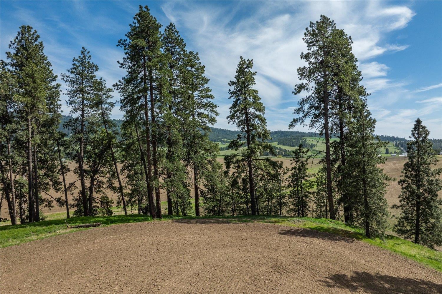 -xxx South Jackson Road Mica, WA 99023 - Photo 23 of 50