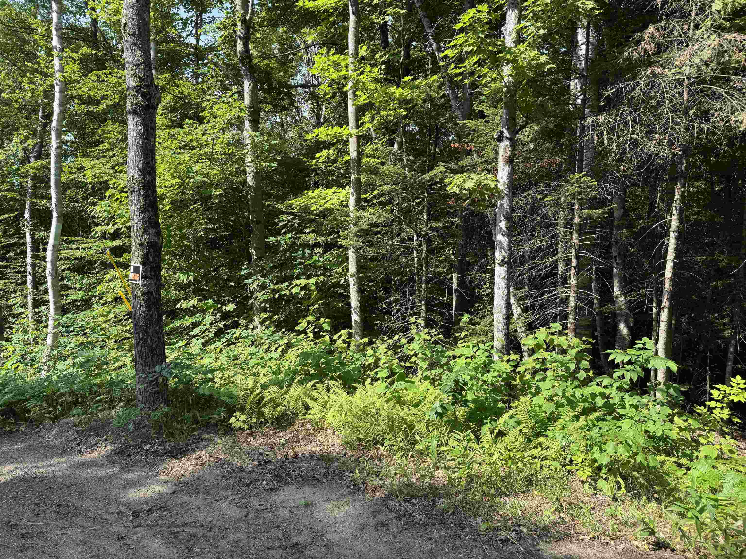 0 North Groton Road Hebron, NH 03241 - Photo 1 of 15
