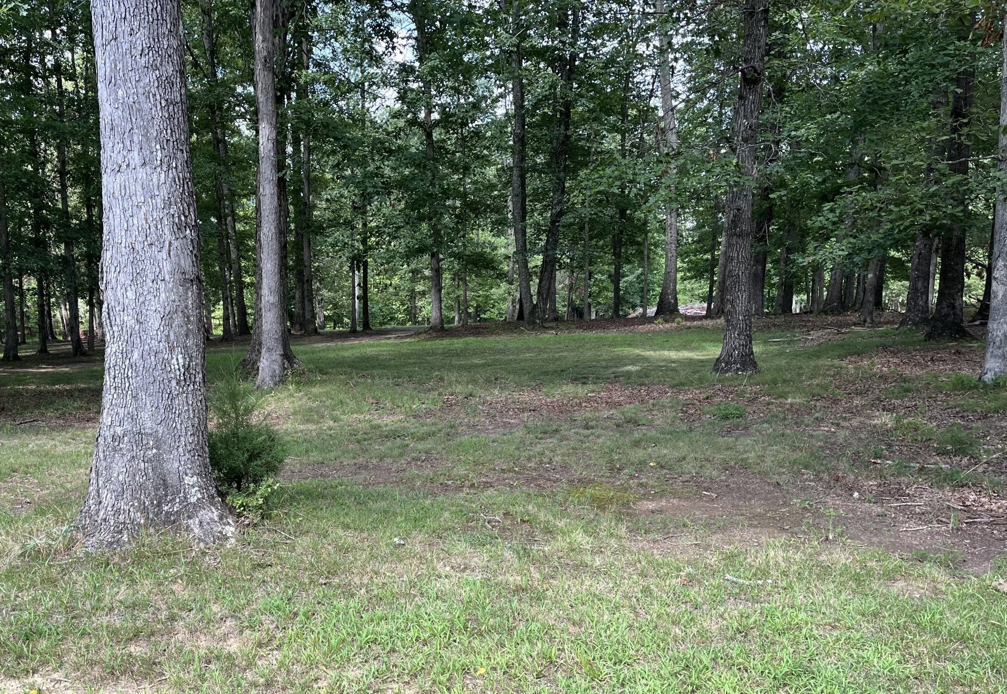 227 Blackberry Farm Road Monteagle, TN 37356 - Photo 4 of 4