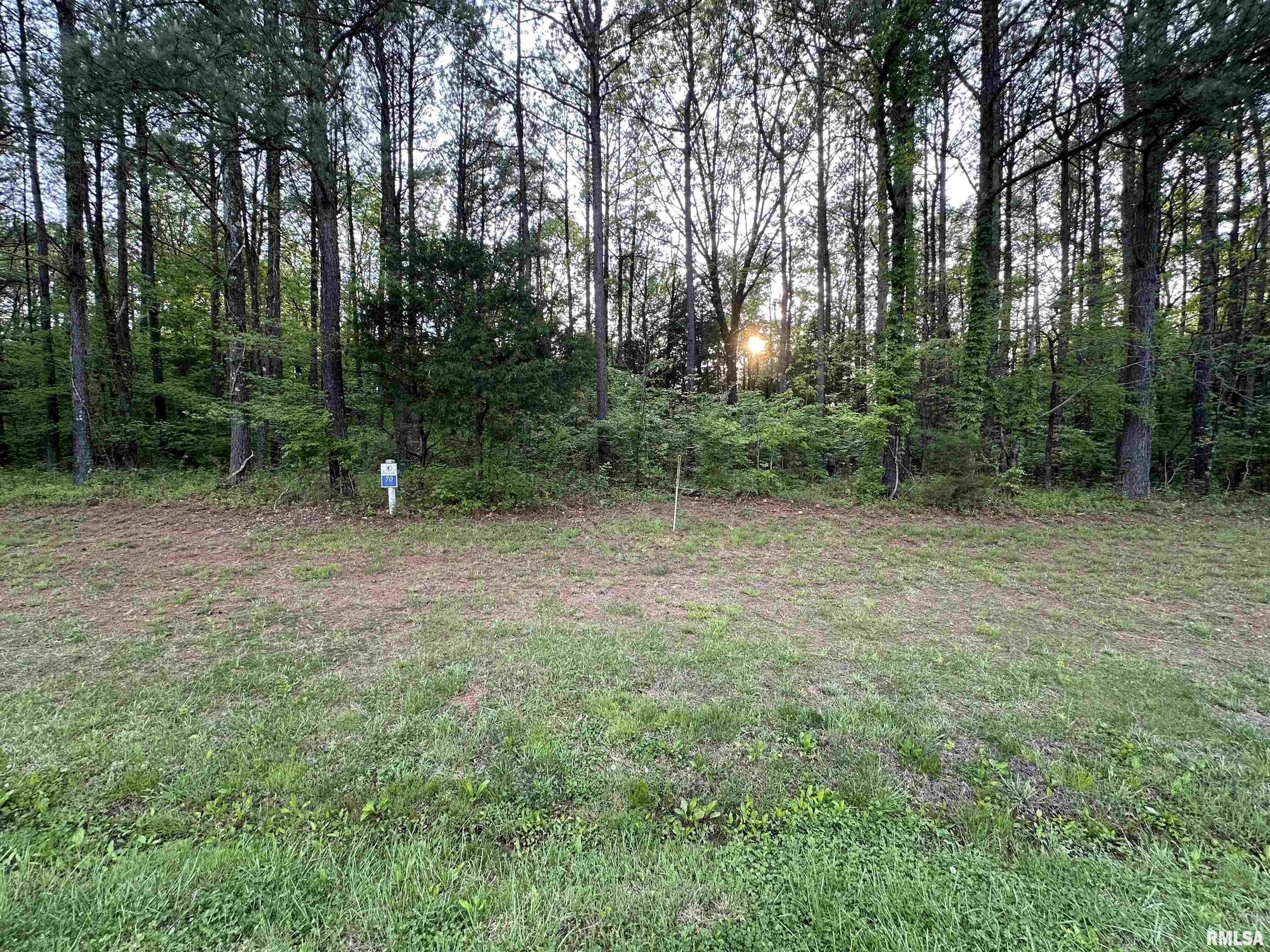 Tbd Parrish Ridge Lane Herrin, IL 62948 - Photo 1 of 10