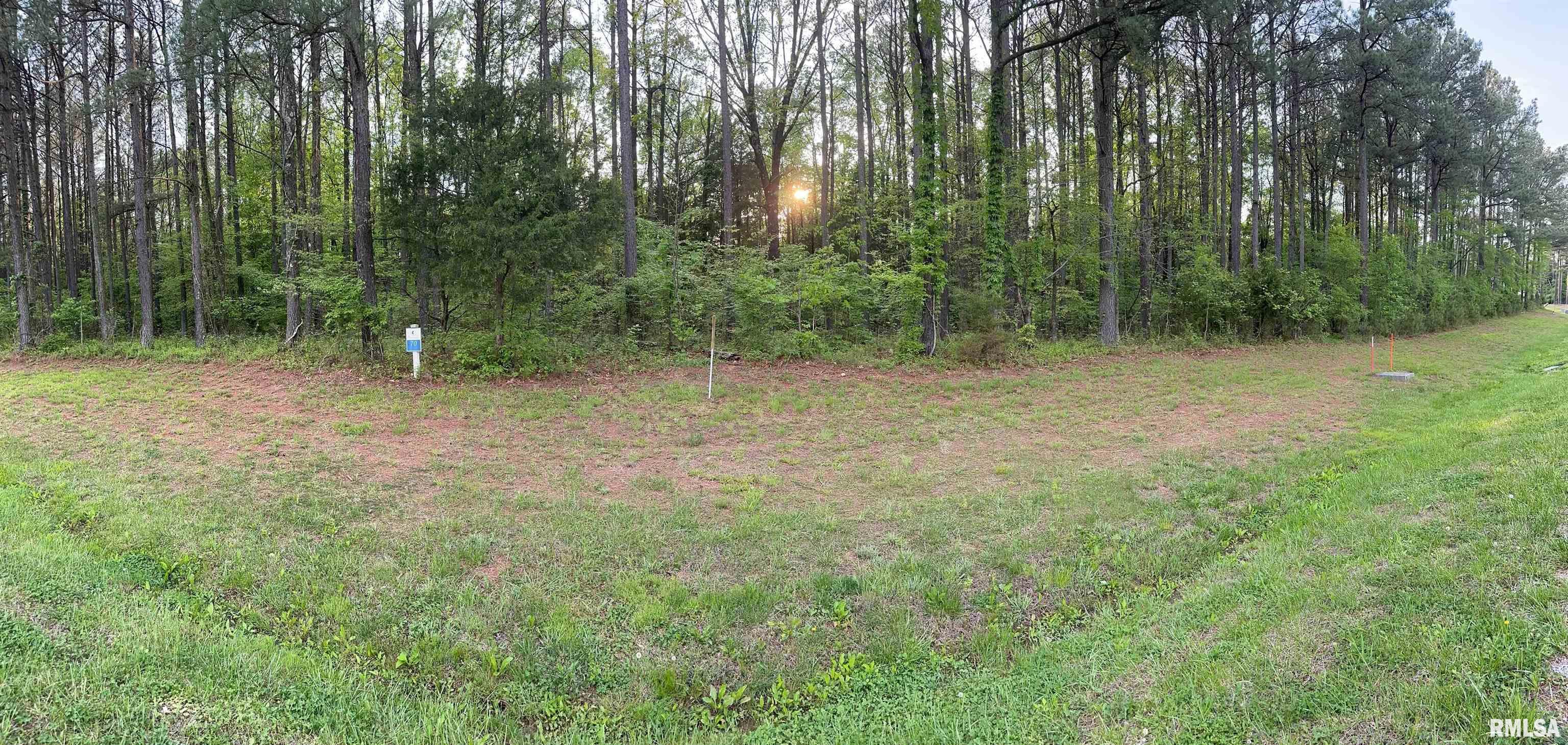 Tbd Parrish Ridge Lane Herrin, IL 62948 - Photo 4 of 10