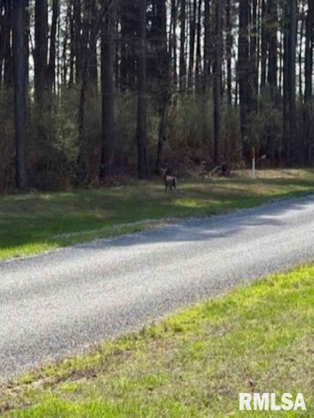 Tbd Parrish Ridge Lane Herrin, IL 62948 - Photo 8 of 10