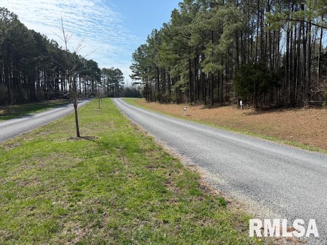Tbd Parrish Ridge Lane Herrin, IL 62948 - Photo 10 of 10
