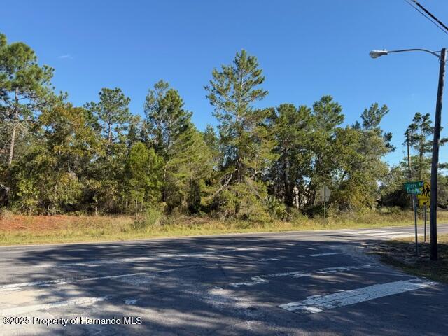 0 Lamson Avenue Spring Hill, FL 34608 - Photo 4 of 6