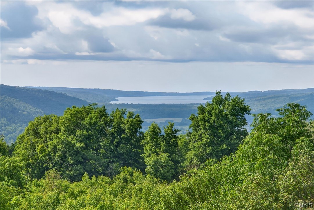 1323 Bellview Heights Road Locke, NY 13092 - Photo 27 of 31