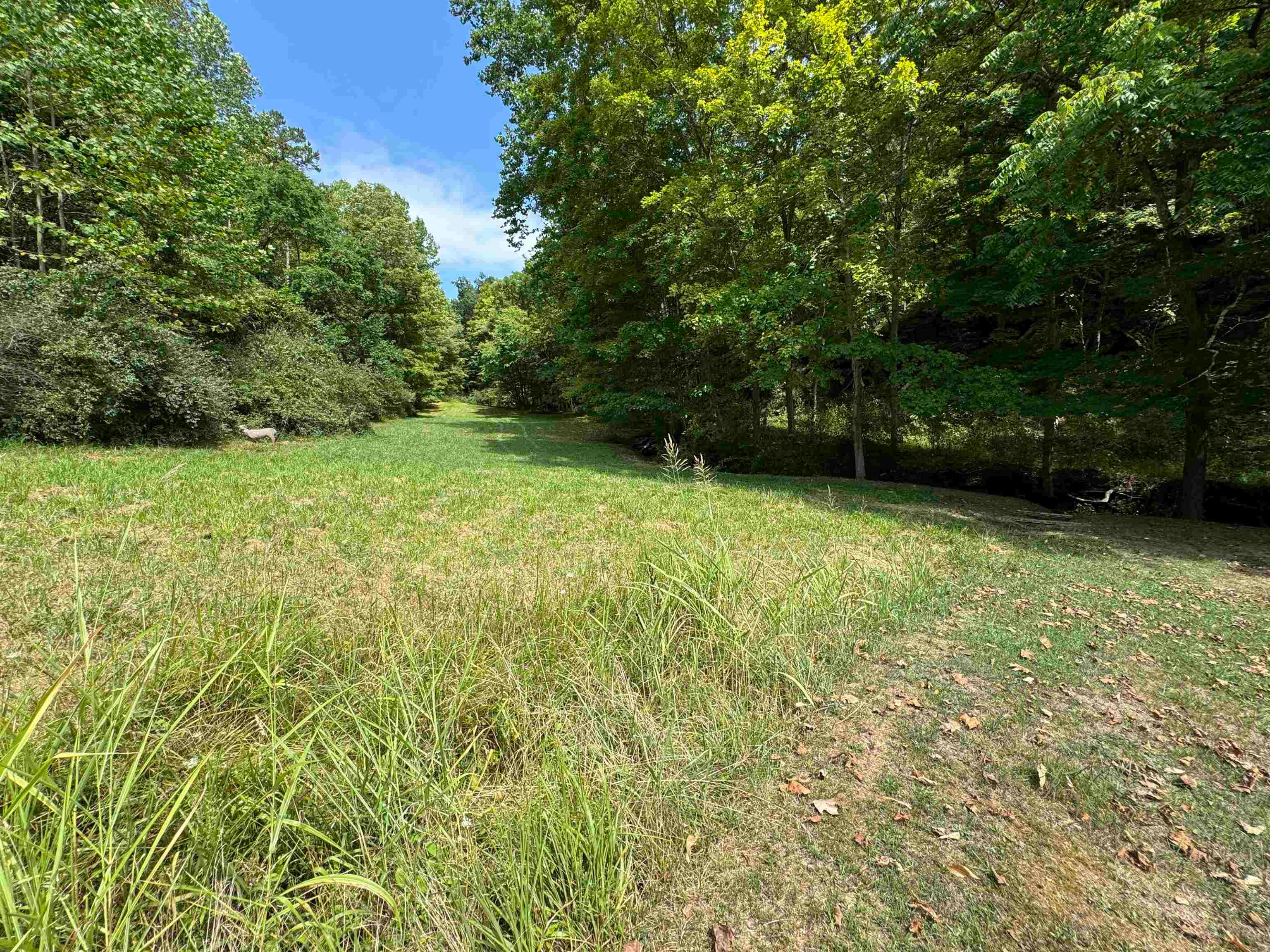 337 Pyles Branch Road Wayne, WV 25570 - Photo 30 of 31 Gallery Image 30