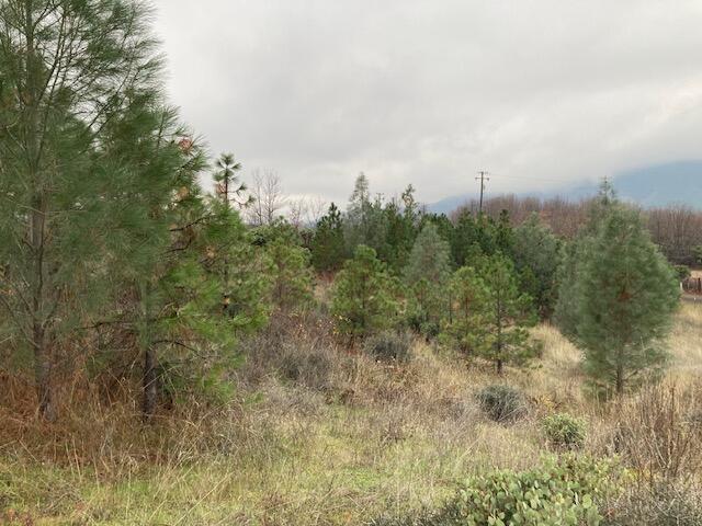 18155 Patterson Ranch Road Round Mountain, CA 96084 - Photo 30 of 30 IMG_6835