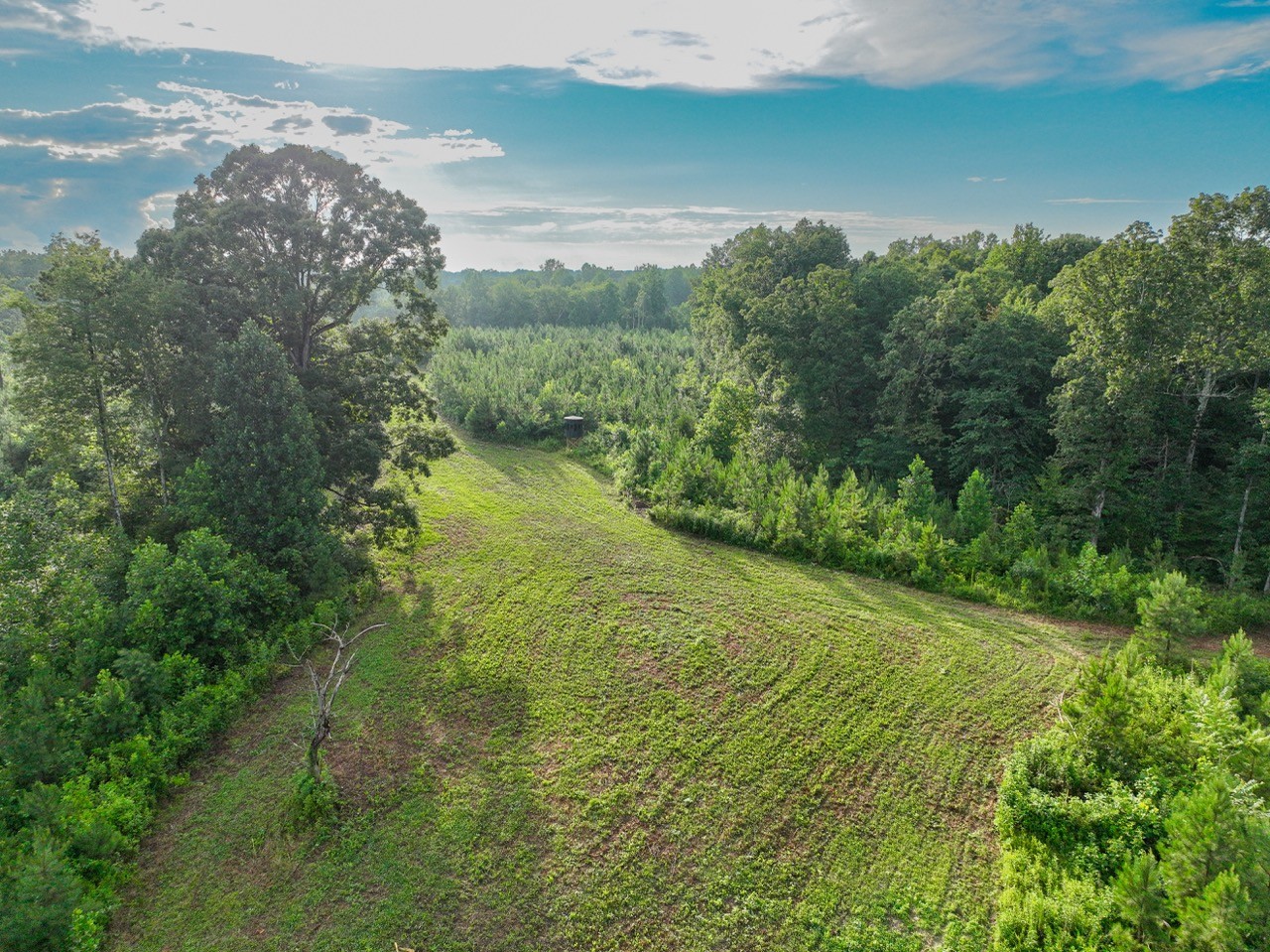 0 West Hollow Road Goodspring, TN 38460 - Photo 6 of 99