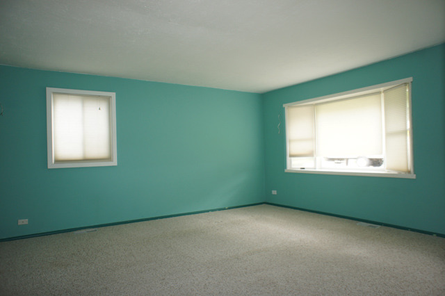 508 South Lake Street Mundelein, IL 60060 - Photo 4 of 13