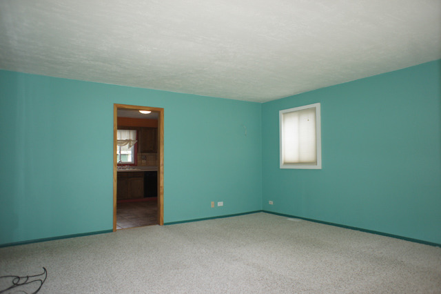508 South Lake Street Mundelein, IL 60060 - Photo 5 of 13