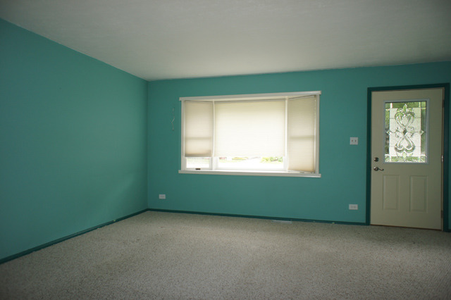 508 South Lake Street Mundelein, IL 60060 - Photo 6 of 13
