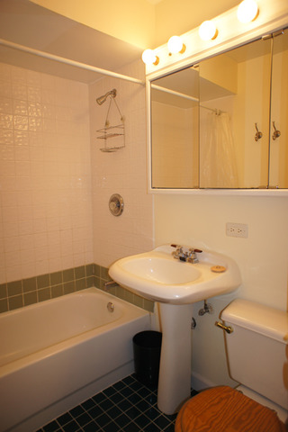 508 South Lake Street Mundelein, IL 60060 - Photo 7 of 13
