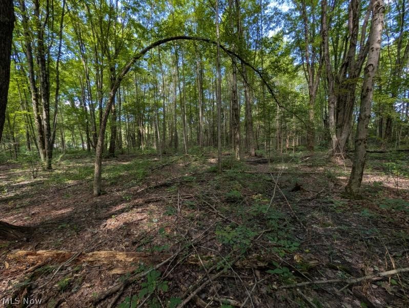 State Line Road Northeast Burghill, OH 44404 - Photo 11 of 14 Gallery Image 11
