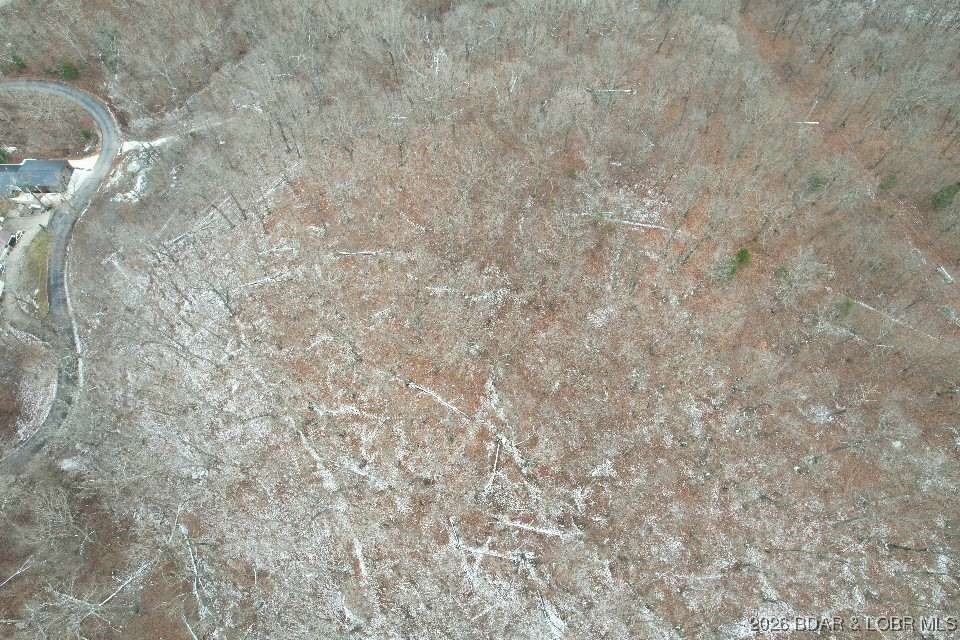 0 Cole Road Gravois Mills, MO 65037 - Photo 4 of 8