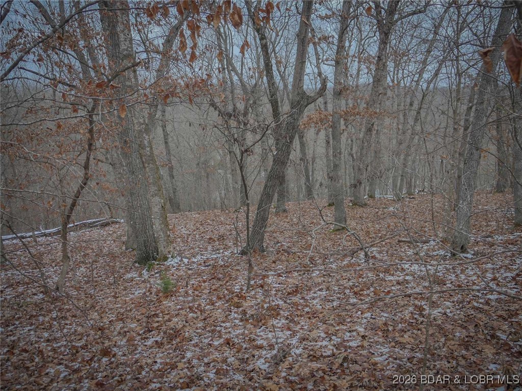 0 Cole Road Gravois Mills, MO 65037 - Photo 5 of 8