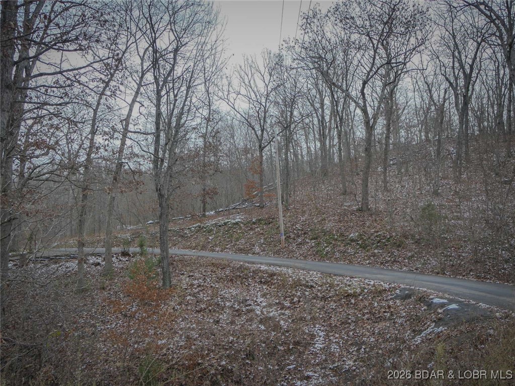 0 Cole Road Gravois Mills, MO 65037 - Photo 6 of 8